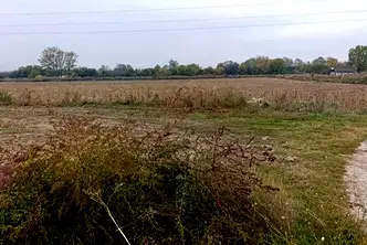 Земеделски имот в Плевен, Белене
