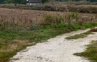 Земеделски имот в Плевен, Белене