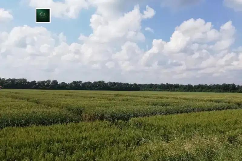 Agricultural Land in Oblast Kyustendil, Boboshevo