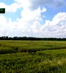 Земеделски имот в Кюстендил, Бобошево