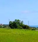 Земеделски имот във Варна, Бяла