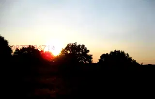 Земеделски имот в Бургас, Царево