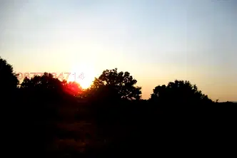 Земеделски имот в Бургас, Царево