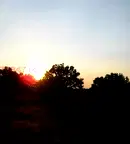 Земеделски имот в Бургас, Царево