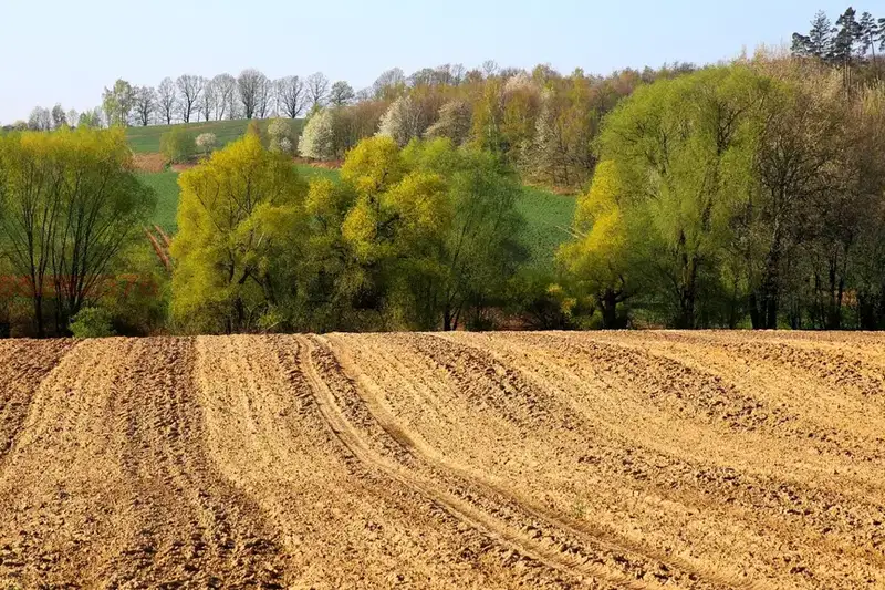 Agricultural Land in Oblast Dobrich, Dobrich