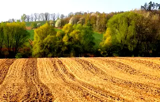 Земеделски имот в Добрич, Добрич