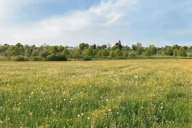 Земеделски имот в Пловдив, Хисаря