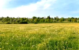 Земеделски имот в Пловдив, Хисаря