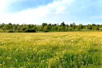 Земеделски имот в Пловдив, Хисаря