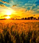 Земеделски имот в Пловдив, Хисаря
