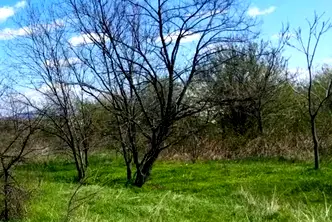 Земеделски имот в Пловдив, Карлово