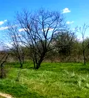Земеделски имот в Пловдив, Карлово