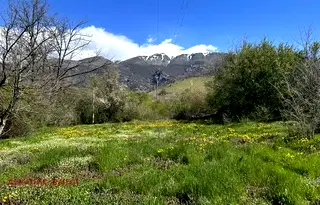 Земеделски имот в Пловдив, Карлово