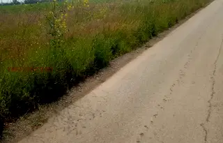 Земеделски имот в Бургас, Приморско