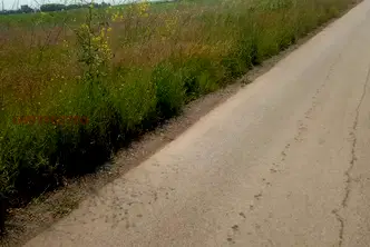 Земеделски имот в Бургас, Приморско
