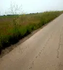 Земеделски имот в Бургас, Приморско