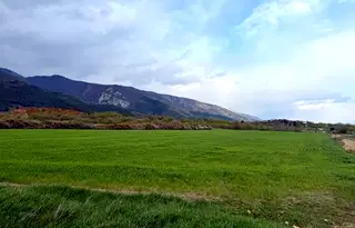 Земеделски имот в Пловдив, с. Анево