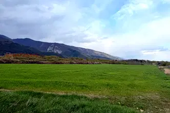 Земеделски имот в Пловдив, с. Анево