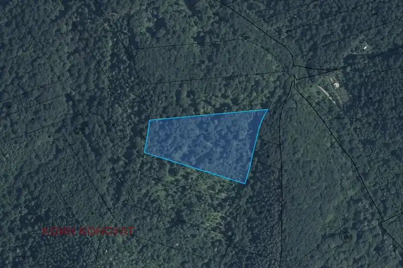 Forest/Scrubland in Lovech, Borima