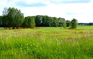 Земеделски имот в Пазарджик, с. Бошуля