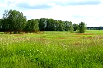 Земеделски имот в Пазарджик, с. Бошуля
