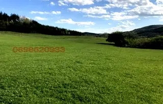 Земеделски имот в Перник, с. Боснек