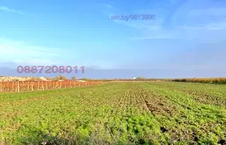 Земеделски имот в Пловдив, с. Брестник