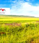 Земеделски имот в Пловдив, с. Царимир