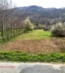Земеделски имот в Ловеч, с. Черни Осъм