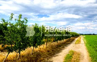 Земеделски имот в Пазарджик, с. Главиница