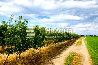 Земеделски имот в Пазарджик, с. Главиница