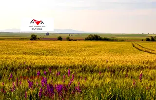 Земеделски имот в Пловдив, с. Голям чардак