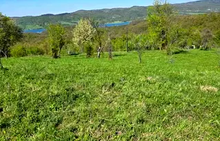 Земеделски имот в Ловеч, с. Голяма Желязна