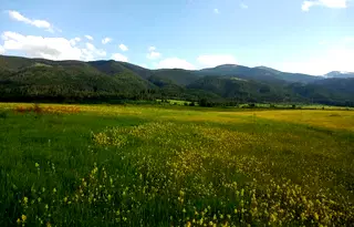 Земеделски имот в София, с. Говедарци