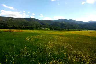 Земеделски имот в София, с. Говедарци