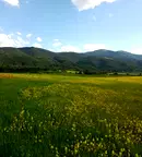 Земеделски имот в София, с. Говедарци