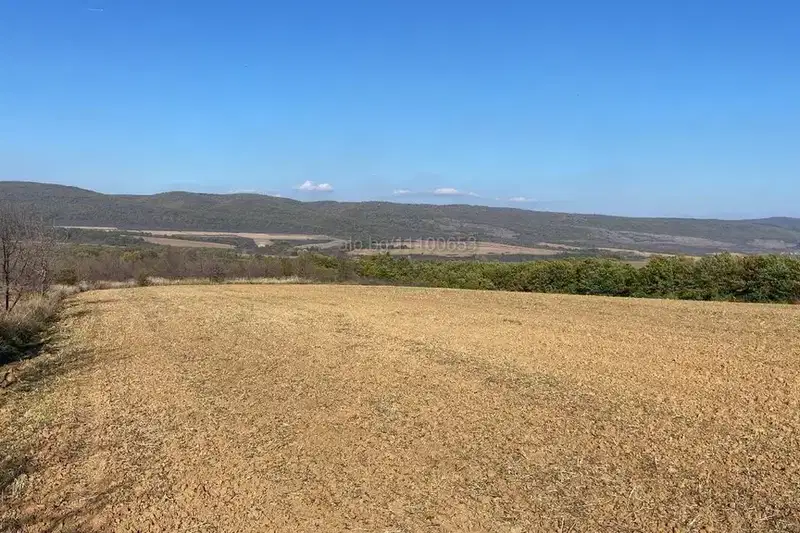 Agricultural Land in Oblast Blagoevgrad, Gyrmen