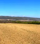 Земеделски имот в Благоевград, с. Гърмен