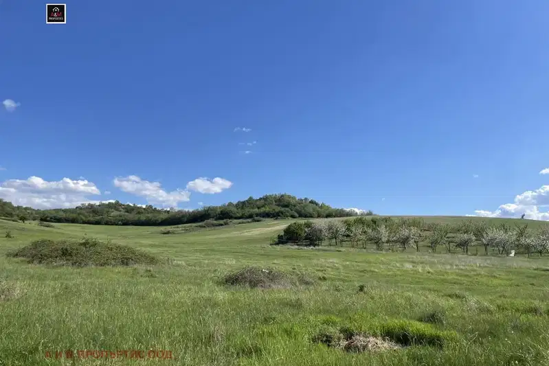 Agricultural Land in Oblast Blagoevgrad, Izgrev