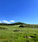 Земеделски имот в Благоевград, с. Изгрев