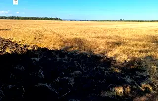 Земеделски имот в Добрич, с. Каблешково