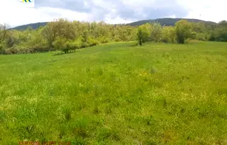 Земеделски имот в Ловеч, с. Калейца