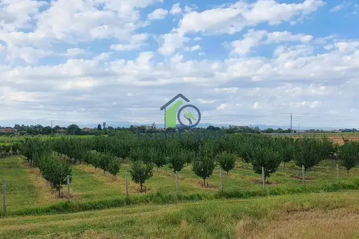 Земеделски имот в Пловдив, с. Катуница