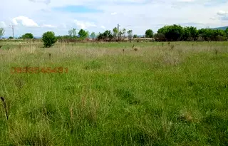 Земеделски имот в София, с. Казичене