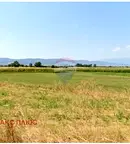 Земеделски имот в София, с. Лесново