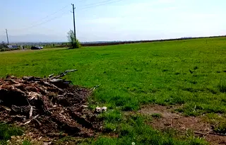 Земеделски имот в София, с. Мало Бучино