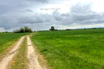 Земеделски имот в Пловдив, с. Маноле