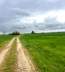 Земеделски имот в Пловдив, с. Маноле