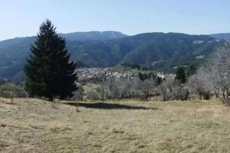 Agricultural Land in Oblast Smolyan, Momchilovci