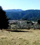 Земеделски имот в Смолян, с. Момчиловци